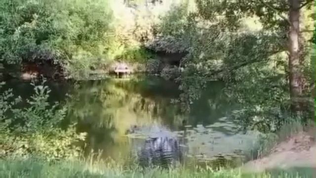 Интересное видео (1 половина 2025 года)