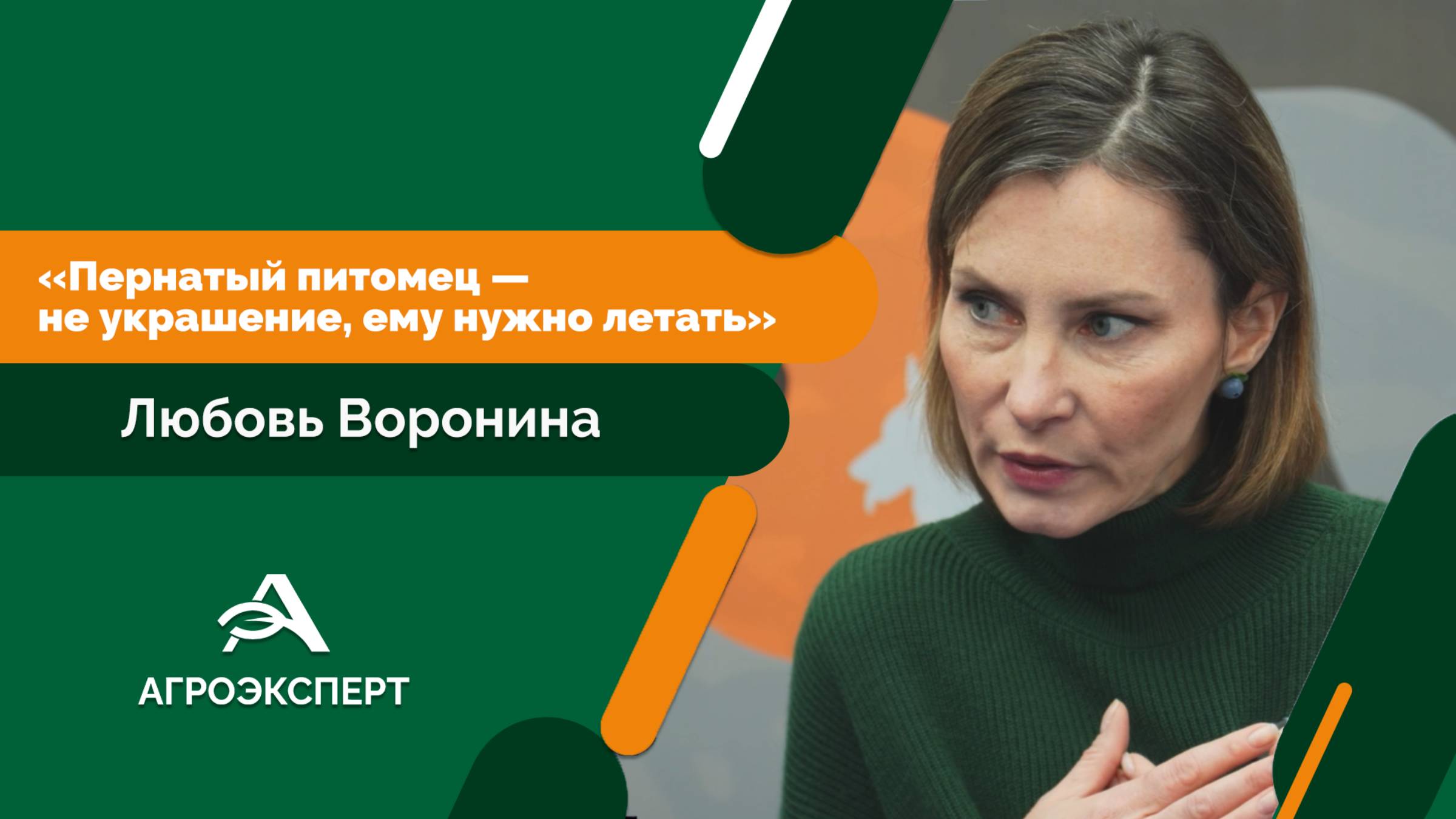 Любовь Воронина: «Пернатый питомец — не украшение, ему нужно летать»