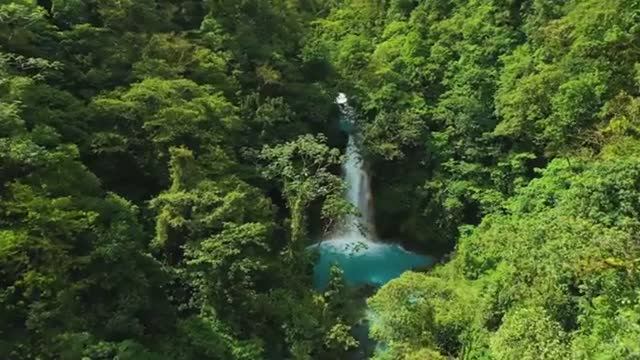 🌴 Дикая природа Амазонки