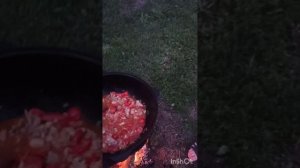 Грузинское чахохбили. очень просто и очень вкусно. Приятного аппетита!
