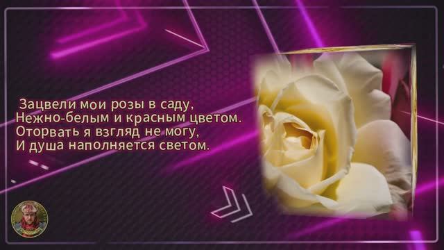 Две розы, Две судьбы.