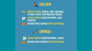 Чем кормить птиц зимой?