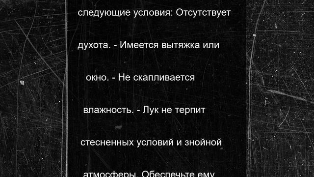Как нужно хранить лук, чтобы он долго не портился: в этом месте он может пролежать целый год