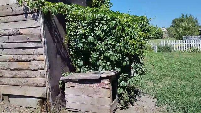 моя дача помогает экономить на содержании фермы.