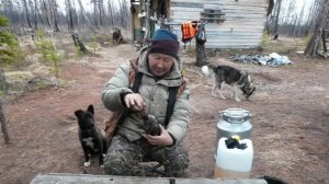 LED Болуодьа Сахалыы блог
Сааскы кус 2025 5 часть