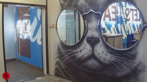 Стеклянная дверь без коробки в Нижнем Новгороде. Маятниковая дверь.