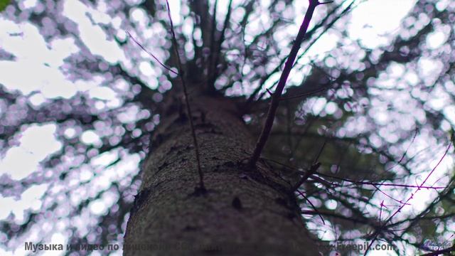 Аккорды льются вместе с дождём и ветром в душу - Looking Within -- Kirk Osamayo -- Season Two (GREEN