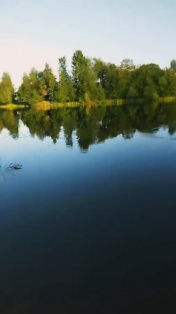 Блесна на которую клюют деликатесы... #рыбалка