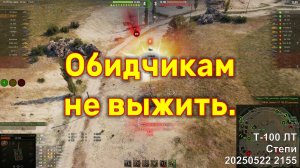 Обидчикам не выжить. Т-100 ЛТ. Степи. 20250522 2155.