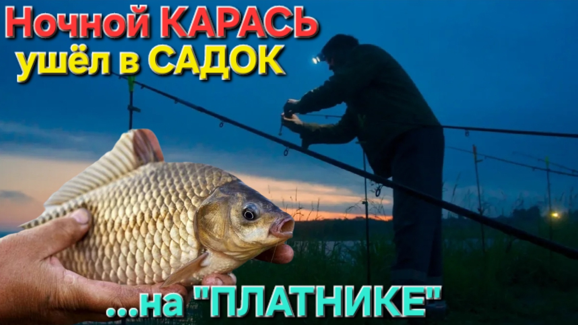 🔥=ОГРОМНЫЙ= ночной карась🔥 ушел в САДОК, на "Платном" ПРУДУ. июнь-2025!!