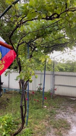 Гроза, опять гроза...