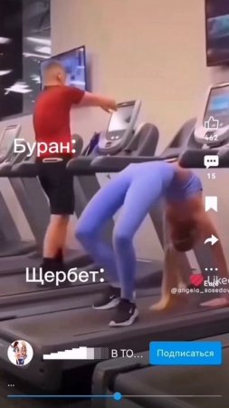 Типичные коты воители(чёто странное)