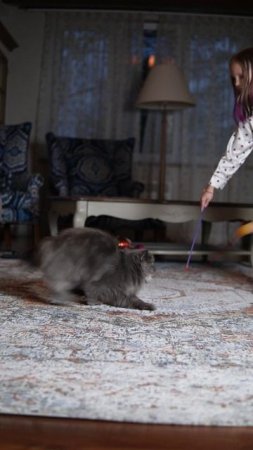 МОЙ КОТ — САМЫЙ ЛУЧШИЙ! Один день из жизни Хома_чудо и пушистика 🐾