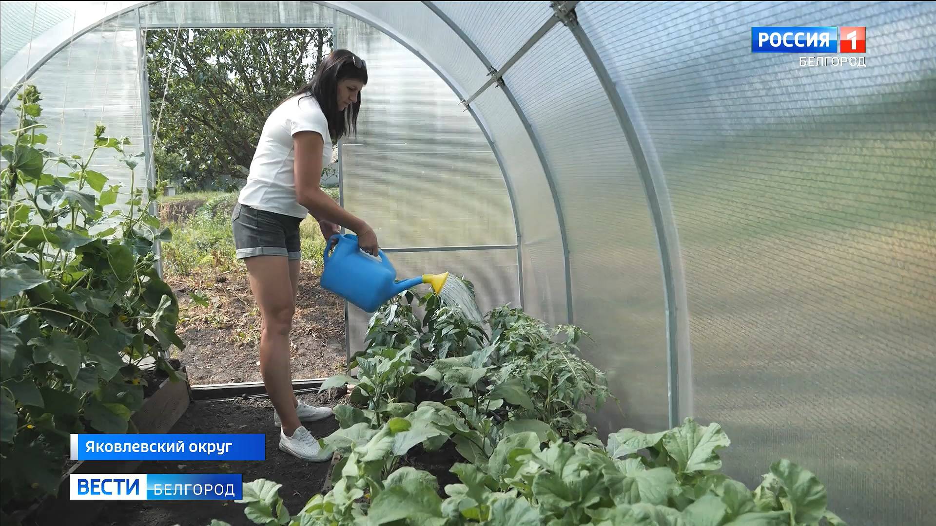 Благодаря программе "Содействие" жительница села Сажное стала фермером