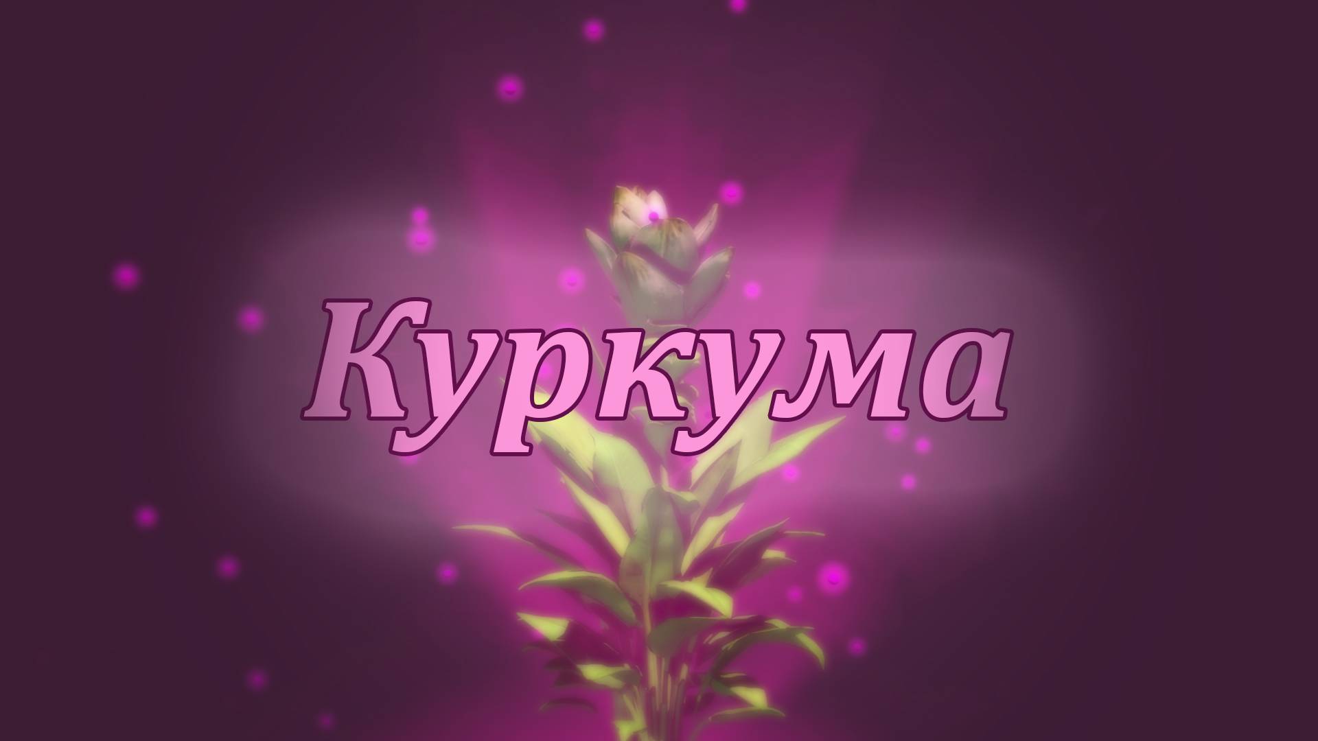 Лечебные свойства куркумы — мощная специя для здоровья!