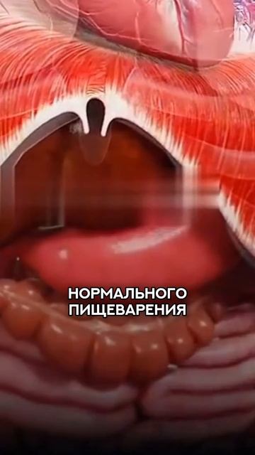 ходишь в туалет только после кофе? #кофе #рецепт #зож #похудение  #нутрициолог #стресс #потерявеса