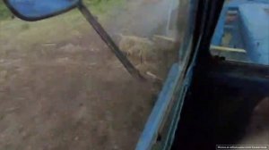 Начался ремонт. Привозим щебень, убираем мебель. Подготовка к ремонту. #жизньвказахстане #казахстан