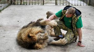 Очевидица ситуации в «Тайгане» сообщила о состоянии Зубкова после нападения льва