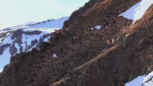 Небо, деревья и вечная мелодия безмятежности – Часть 5