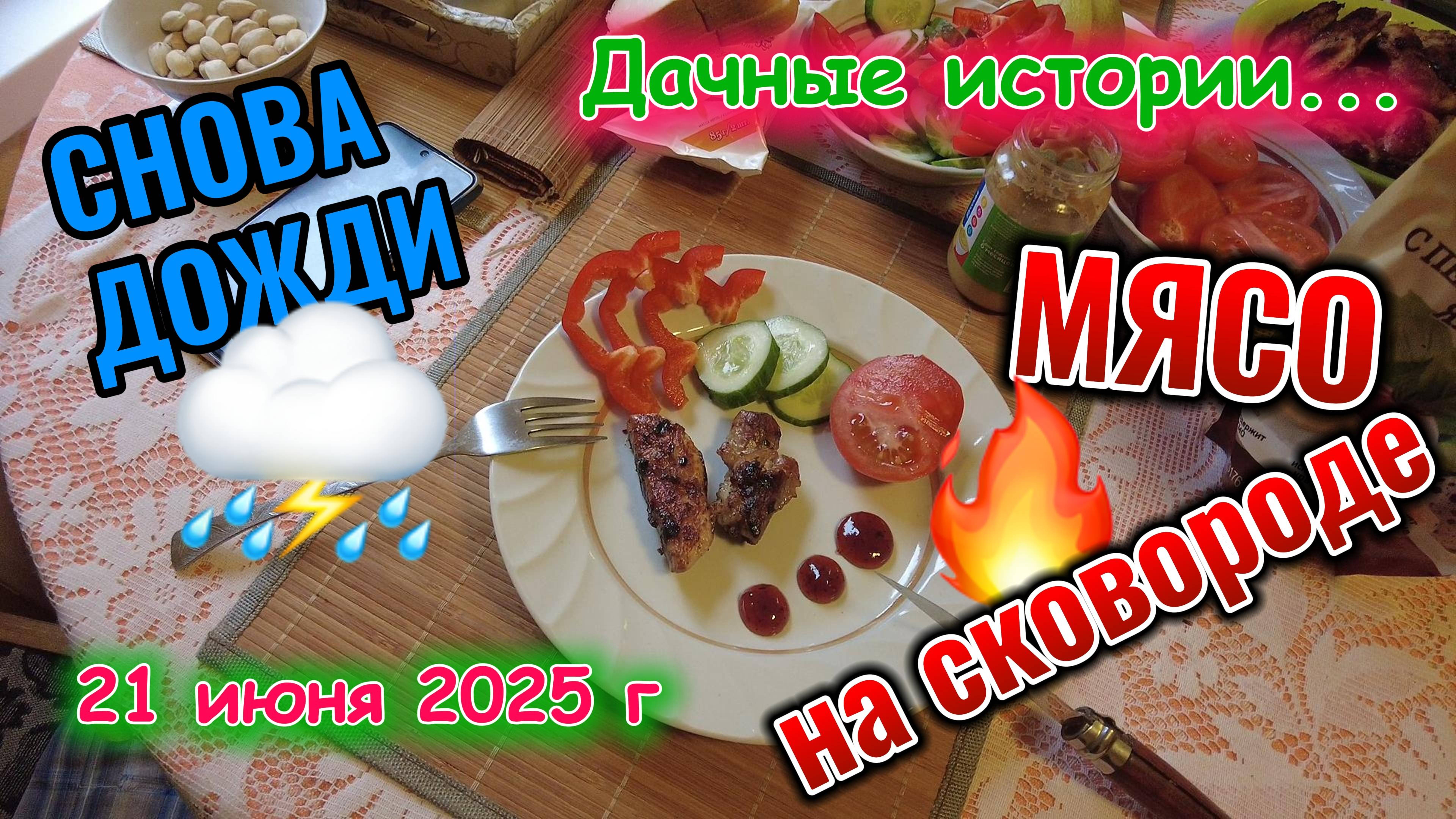 Дожди, лебедь, редиска и мясо на сковороде 21 июня 2025 г