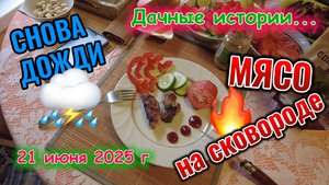 Дожди, лебедь, редиска и мясо на сковороде 21 июня 2025 г