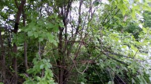 Красоты Урюпинска (часть 2)