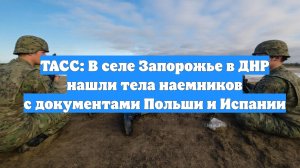 ТАСС: В селе Запорожье в ДНР нашли тела наемников с документами Польши и Испании