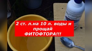 Как я спасаю свои томаты с помощью фитоспорина АС (и вы сможете!) #томаты #фитоспорин #огород