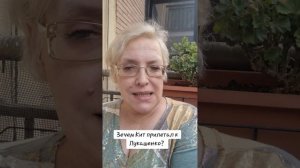 Зачем Кит прилетал к Лукашенко?