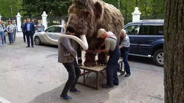 Переезд мамонта