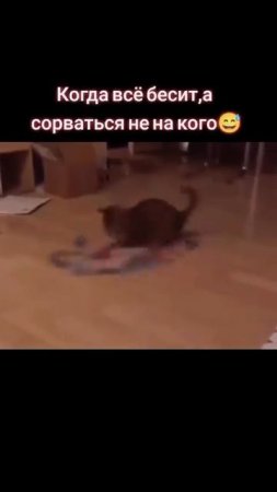 Озвучка нечто😂
