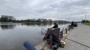 Турнир Золотая Кормушка 2025 по донной ловле