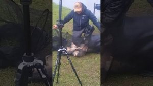 Карповая рыбалка с Алексеем Фадеевым РК "Фишка" Петряиха