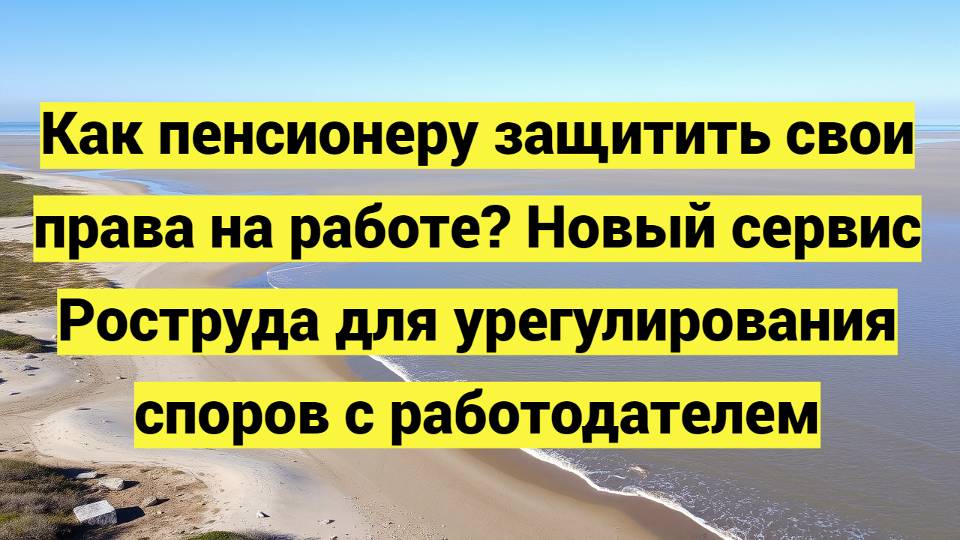 Как пенсионеру защитить свои права на работе? Новый сервис Роструда для урегулирования споров