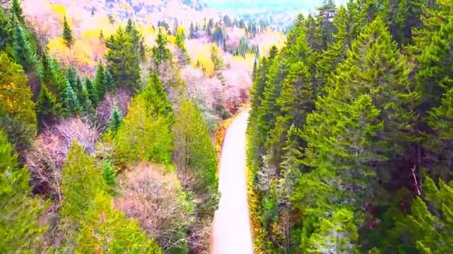 Звуки природы и лёгкая музыка для отдыха тела и души - Часть 9