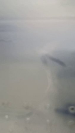 Норман организовал себе баню! 23 июня 2025 г.