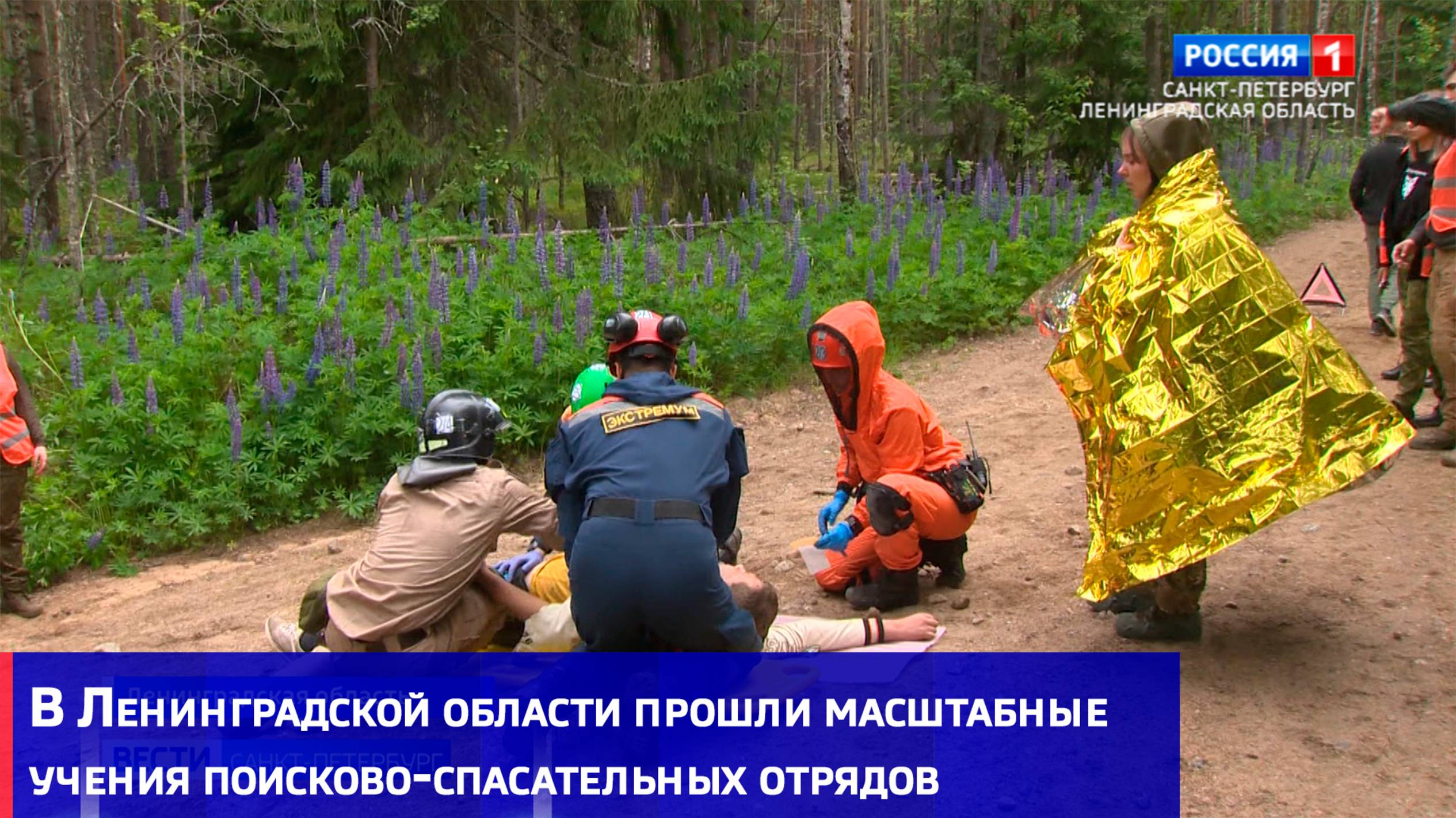 В Ленинградской области прошли масштабные учения поисково-спасательных отрядов