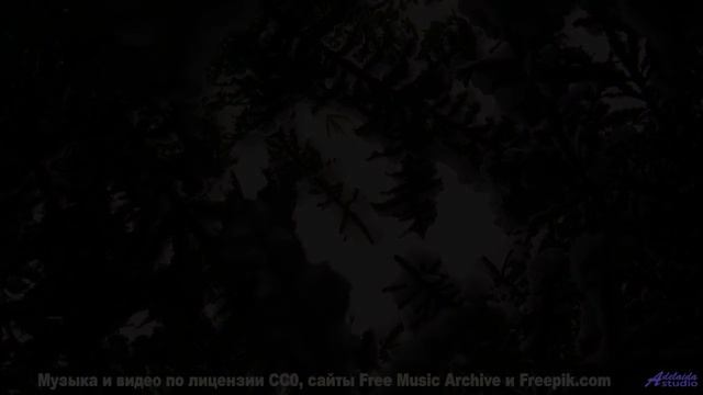 Линии полей и лесов соединяются в одном ритме - Asleep -- Frau Holle -- Different Ways