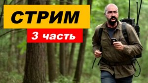 ⚡ Вечерний СТРИМ (3 часть)