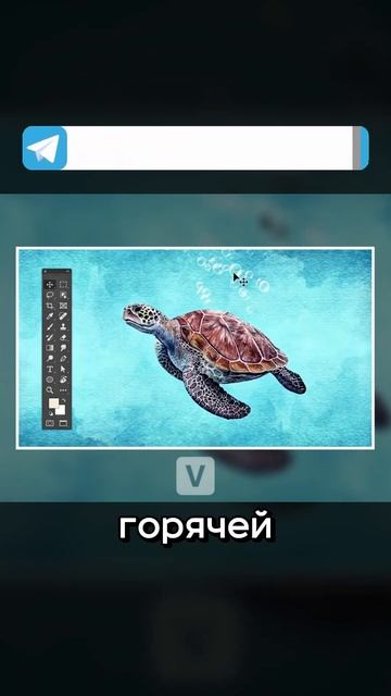 ОСНОВЫ PHOTOSHOP №5: РАЗБОР ИНСТРУМЕНТОВ #photoshop #дизайн #фриланс смотреть онлайн