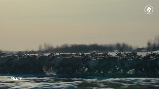 Видеоролик «Великая страна – спортивная страна»