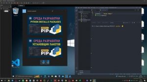 programnyy pomoshchnik установщик пакетов