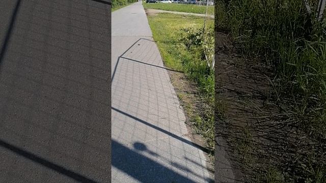 Неизданное