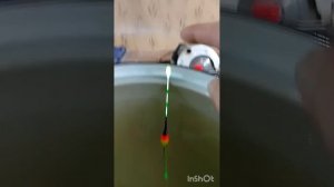 чудо чудесное!!!