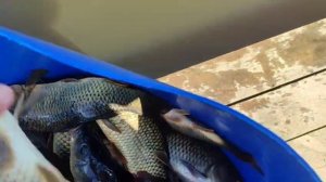 WhatsApp Video 2025-06-23 at 16.09.21