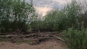 г. Тотьма один из заброшенных пляжей, прогулка. Всем хорошего просмотра.