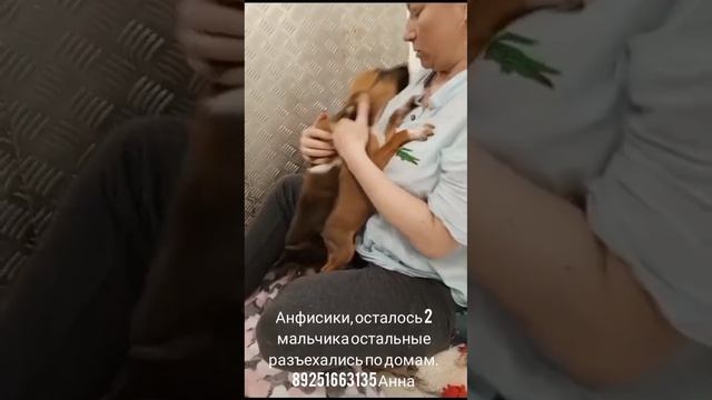 23-06-2025 анфисики 2 мальчика остались пока без семьи.