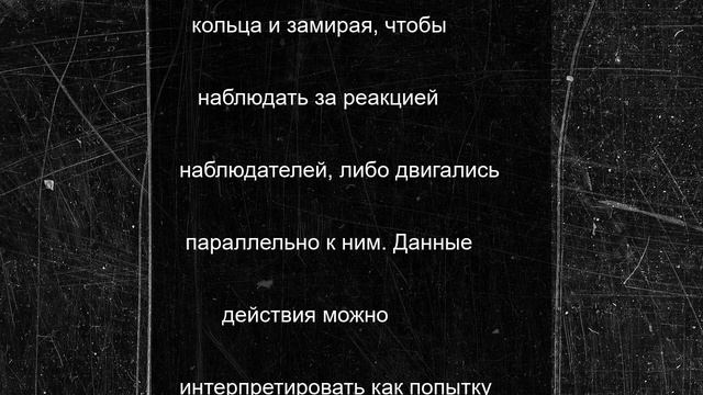 Киты замечены в странном поведении: выпускают пузыри в людей
