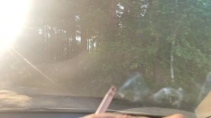 День 4, сходим с ума (Часть 2) много мата