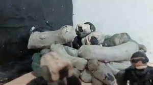 skibidi toilet 135 (part 4)